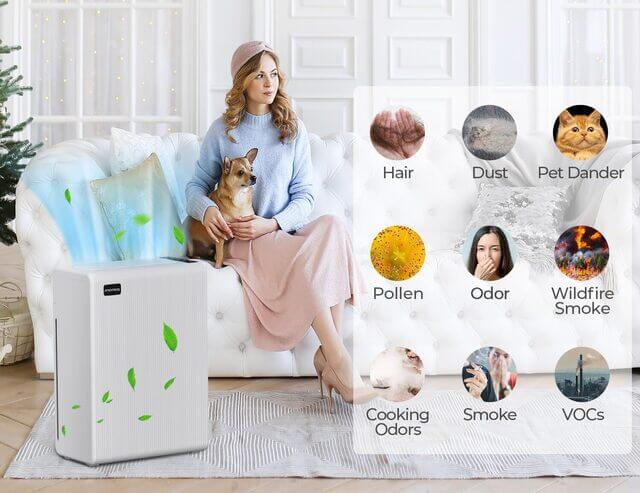 Best Place to Put Air Purifier - Tips and Strategies from the Experts